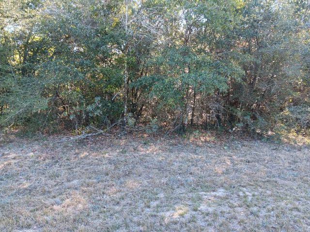 MALONE, Chipley, FL 32428