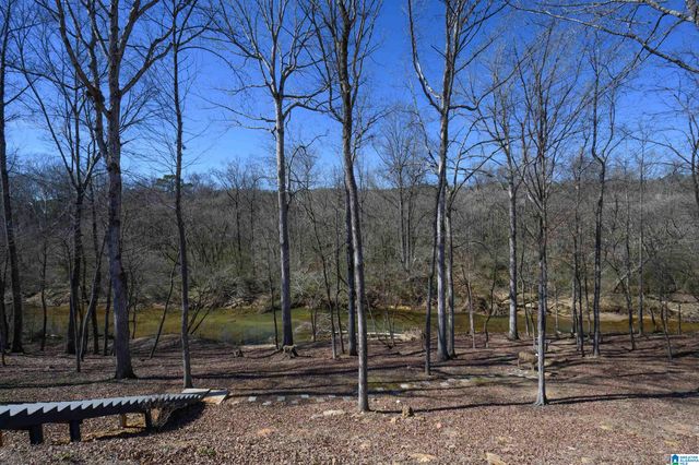 4549 MCGILL TERRACE, Hoover, AL 35226