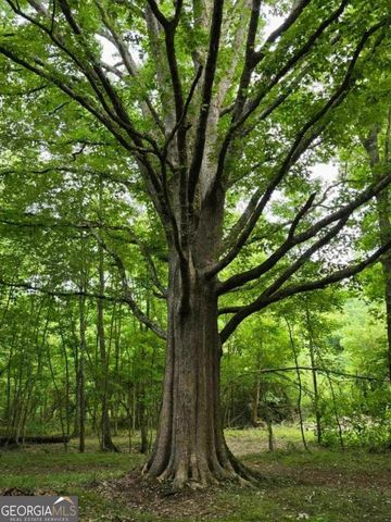 580 Quail Run Road, Stockbridge, GA 30281