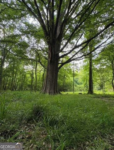 580 Quail Run Road, Stockbridge, GA 30281