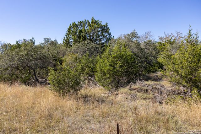 BLOCK 3, LOT 1 Easy Money, Boerne, TX 78006