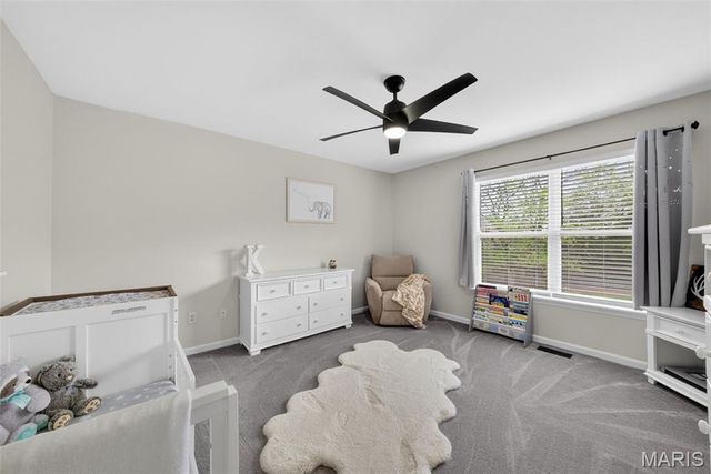 321 Red Wing Court, Troy, MO 63379