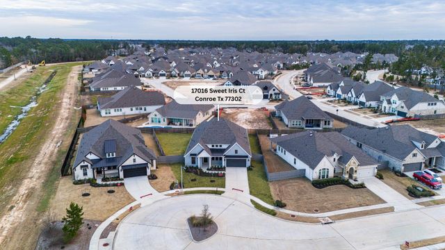 17016 Sweet Iris Court, Conroe, TX 77302
