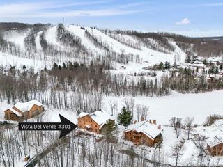 2050 W Schuss Mountain Drive, Custer Twp, MI 49615