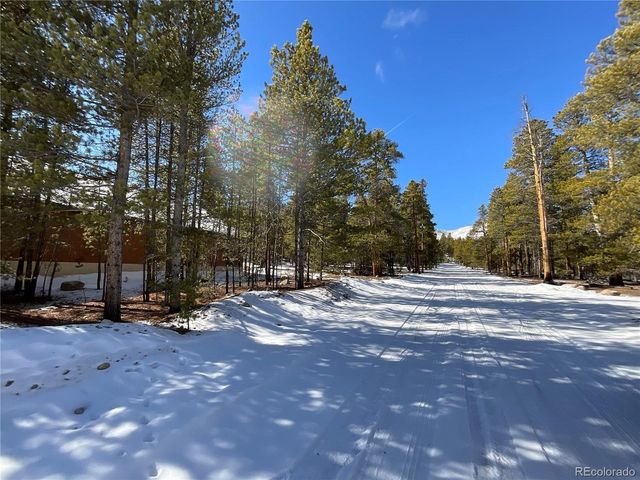 872 Birch Dr, Twin Lakes, CO 81251