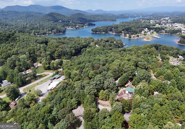 501 Sunnyside Shores Road, Hiawassee, GA 30546