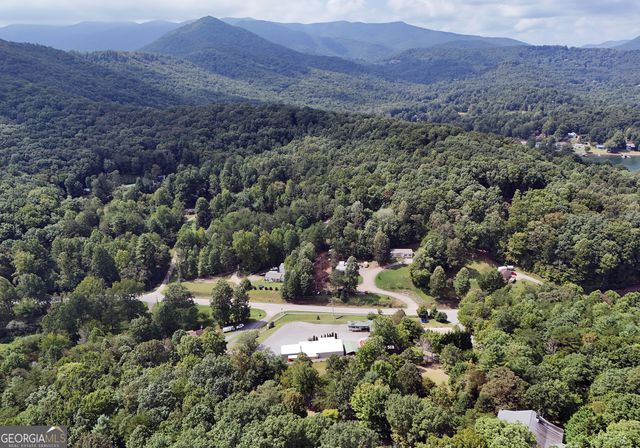 501 Sunnyside Shores Road, Hiawassee, GA 30546