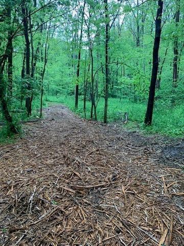 2729 138th Avenue, Dorr, MI 49323