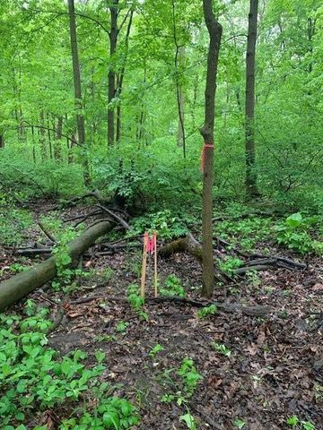 2729 138th Avenue, Dorr, MI 49323