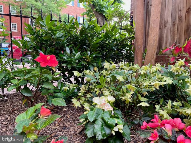 132 W LEE ST, Baltimore, MD 21201