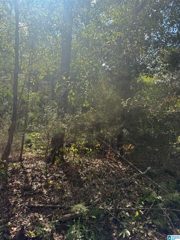 Lot 46 COUNTY ROAD 264, Wedowee, AL 36278