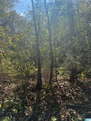 Lot 46 COUNTY ROAD 264, Wedowee, AL 36278