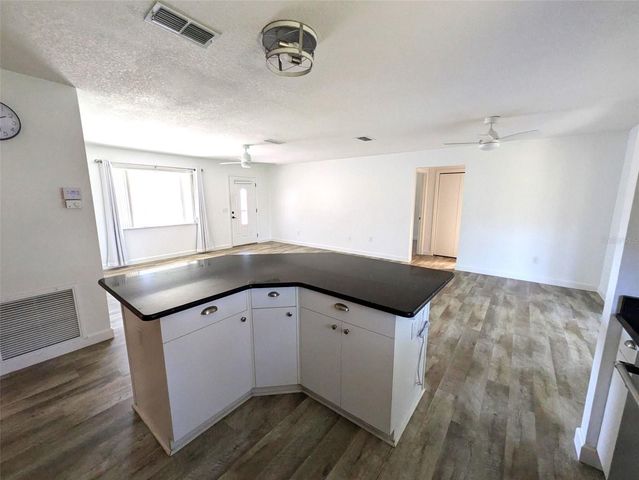 419 SANTA CLARA CIRCLE, The Villages, FL 32159