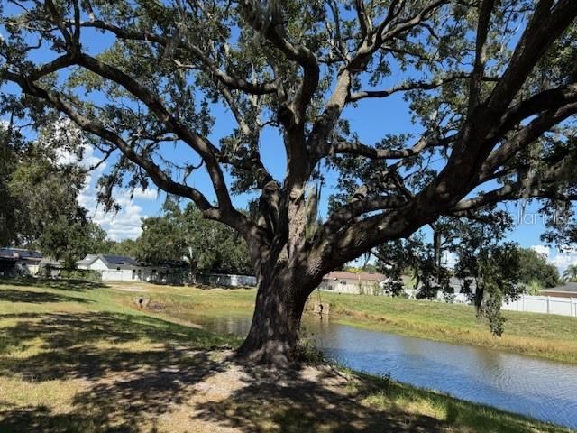 2539 CHRISTINE DRIVE, Kissimmee, FL 34744