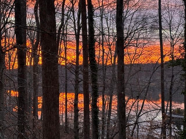 Lot 5 Carlos RD, Union Hall, VA 24176