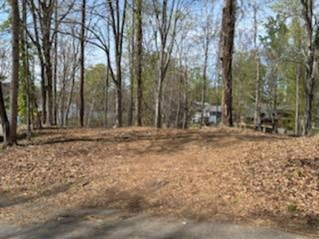 Lot 5 Carlos RD, Union Hall, VA 24176