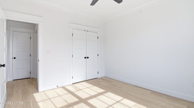 8117 Carolina Cherry Lane, Knoxville, TN 37919