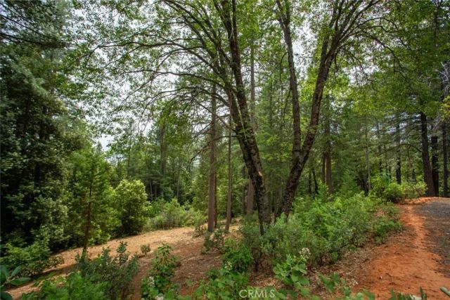 10647 Forbestown Road, Challenge, CA 95925