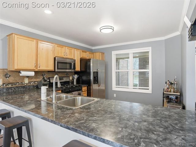 20766 Sleepy Hollow Drive, Macomb, MI 48044