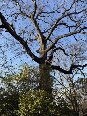 5136 Hilson Rd, Nashville, TN 37211