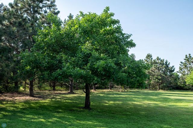 15544 60th Avenue S, Riverton Twp, MN 56547