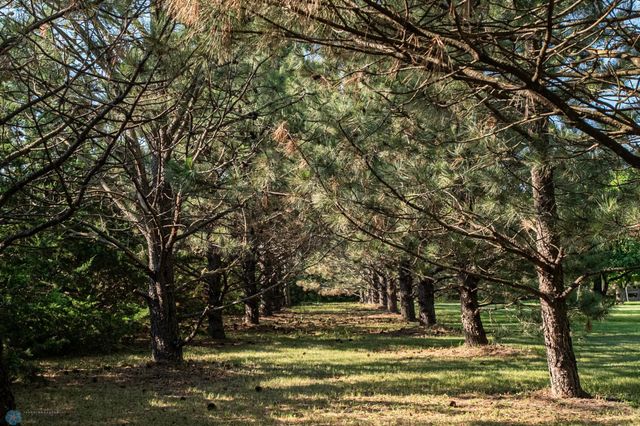 15544 60th Avenue S, Riverton Twp, MN 56547