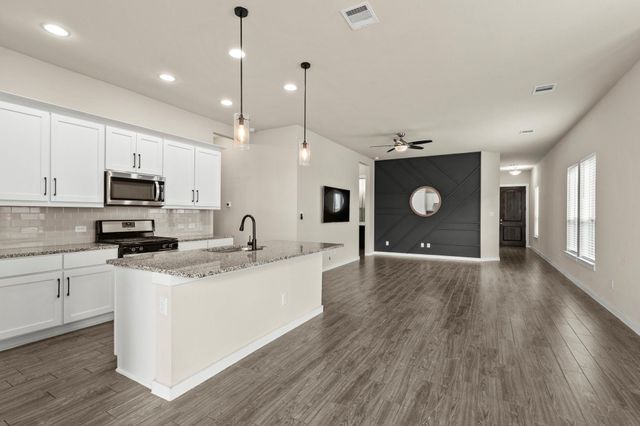 425 Lacey Oak LOOP, San Marcos, TX 78666