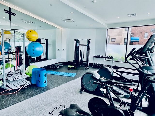 50 Leo Birmingham Parkway 307, Boston, MA 02135