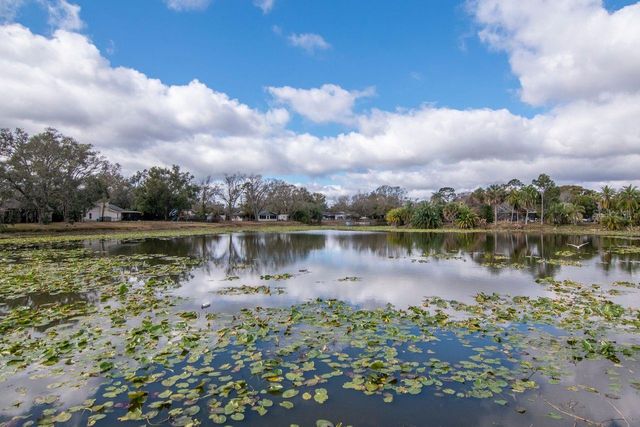 17604 FALLOWFIELD DRIVE, Lutz, FL 33549