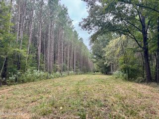 Yandell Road, Gluckstadt, MS 39110