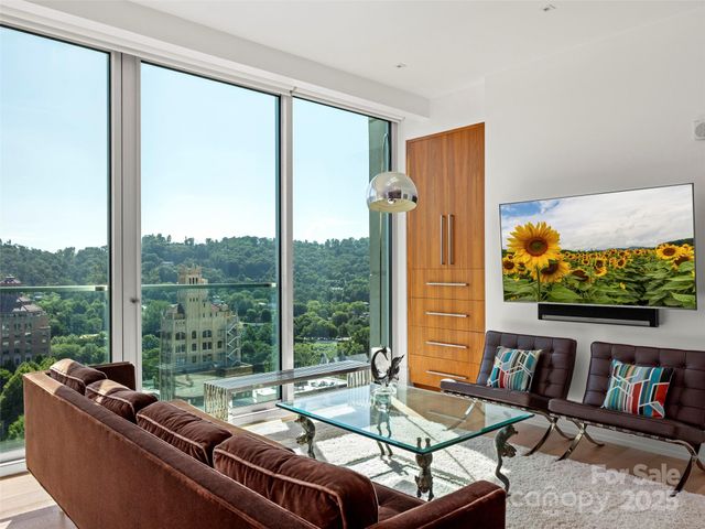 7 Patton Avenue 1503, Asheville, NC 28801