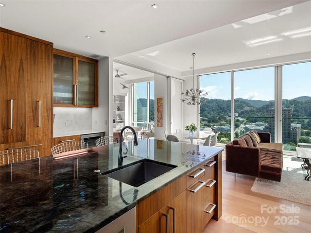 7 Patton Avenue 1503, Asheville, NC 28801