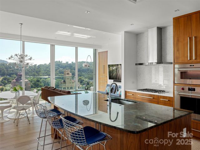 7 Patton Avenue 1503, Asheville, NC 28801