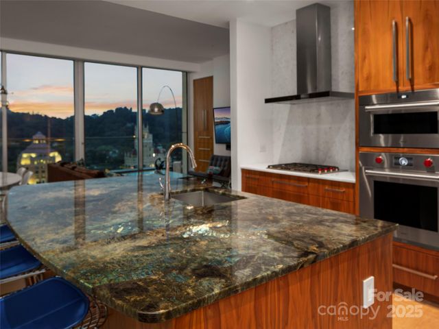 7 Patton Avenue 1503, Asheville, NC 28801