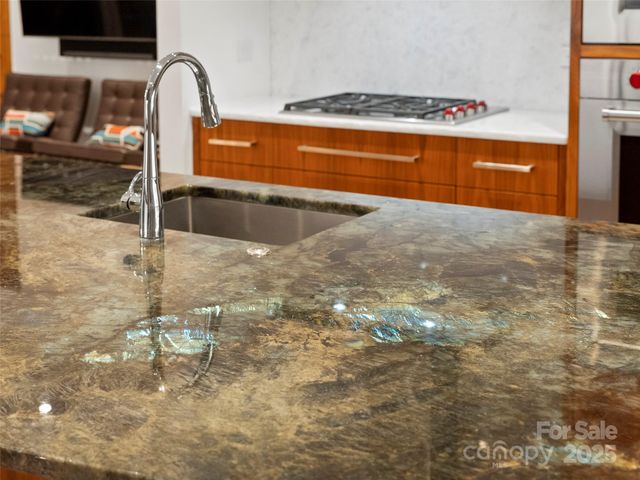 7 Patton Avenue 1503, Asheville, NC 28801