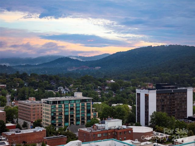 7 Patton Avenue 1503, Asheville, NC 28801