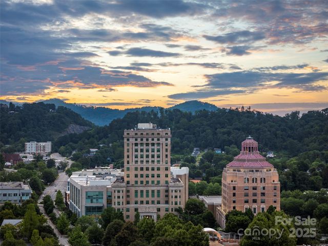 7 Patton Avenue 1503, Asheville, NC 28801