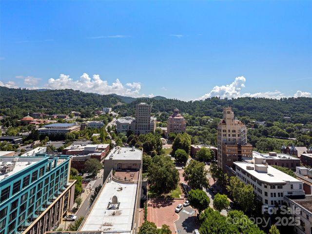 7 Patton Avenue 1503, Asheville, NC 28801