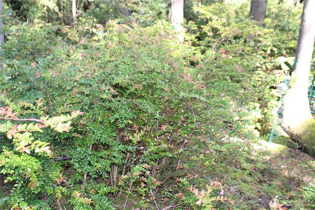 684 E Portage Road, Shelton, WA 98584