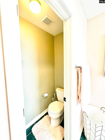 208 Saints Creek Lane, Irmo, SC 29063