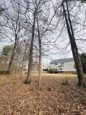 208 Saints Creek Lane, Irmo, SC 29063