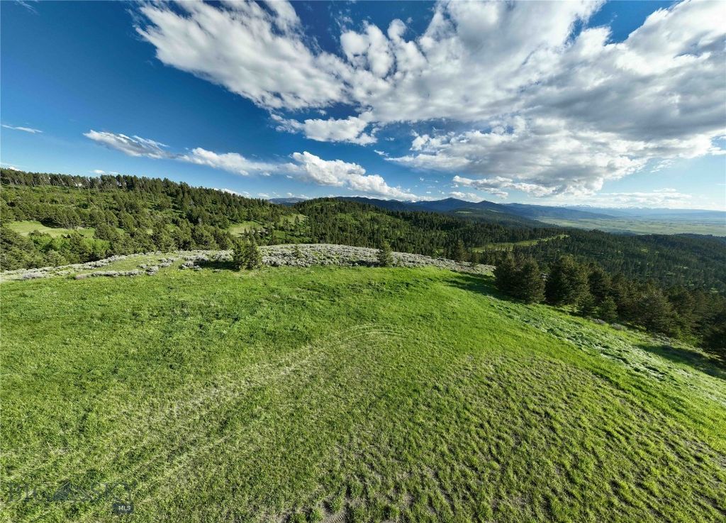 Ranch 6 North Pass Ranches, Bozeman, MT 59718 photo 7