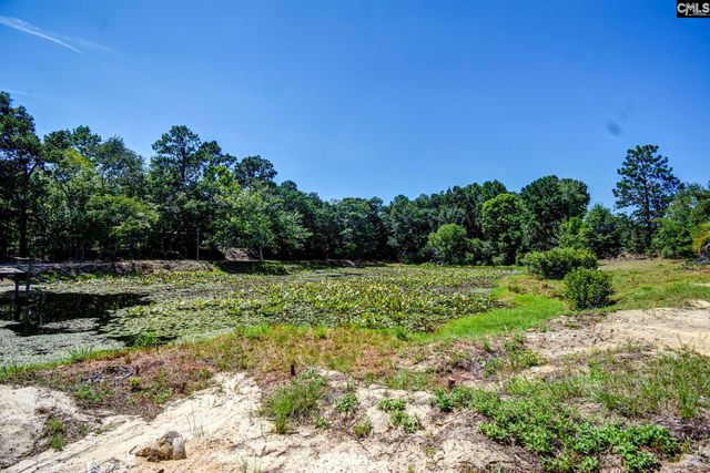 141 Browning Court, Lexington, SC 29073