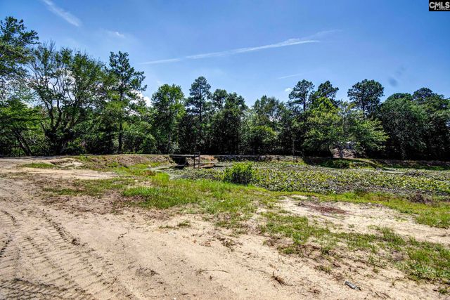 141 Browning Court, Lexington, SC 29073
