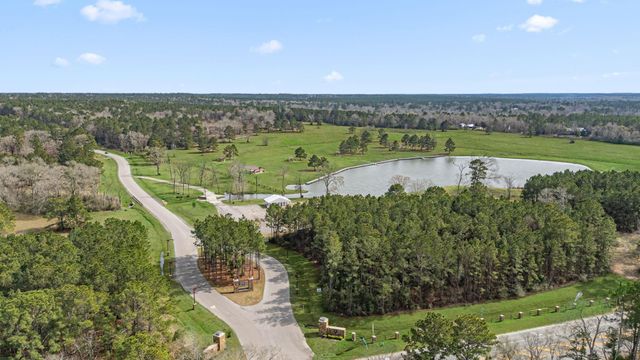 11584 Inspiration Drive, Willis, TX 77378