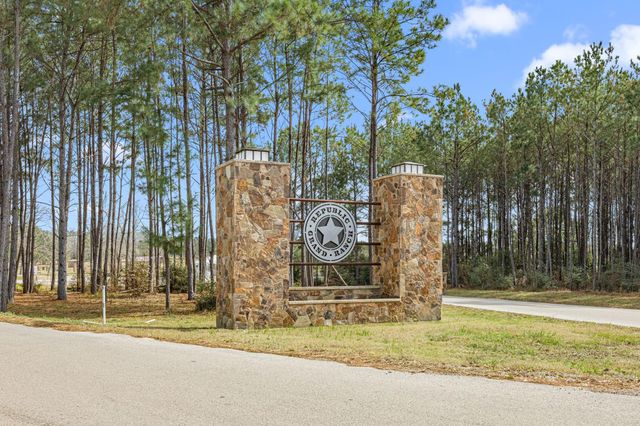 11584 Inspiration Drive, Willis, TX 77378