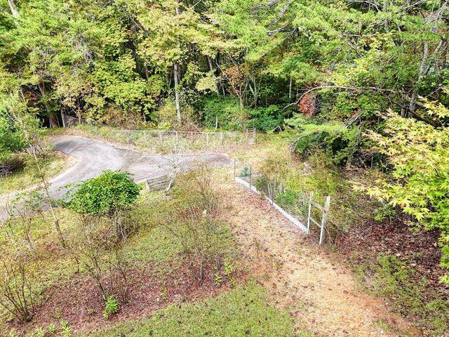 50 Henry Young Lane, Blairsville, GA 30512