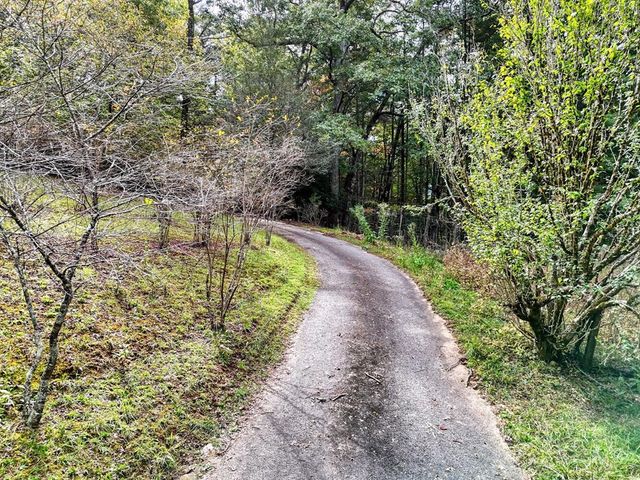 50 Henry Young Lane, Blairsville, GA 30512