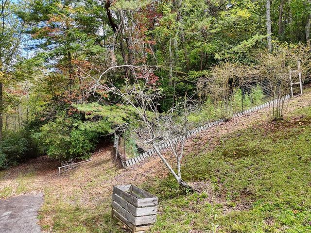 50 Henry Young Lane, Blairsville, GA 30512