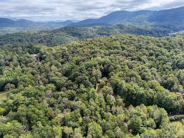 50 Henry Young Lane, Blairsville, GA 30512